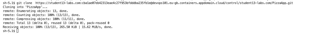 Terminal clone repo
