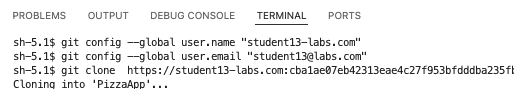 Terminal set Git settings