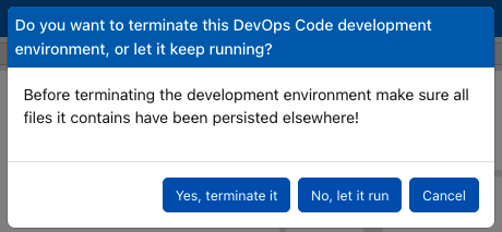 Code Environment Terminate or Not