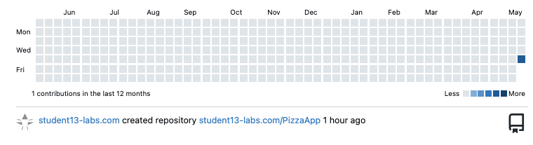 Activity Report