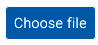 Choose File Button