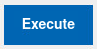 Execute Button