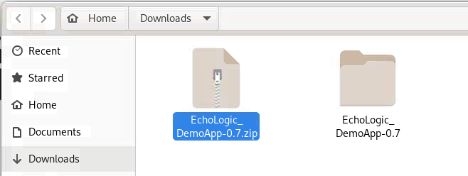 Downloads Folder